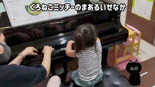 3歳さん【くろねこミッチーのまあるいせなか】