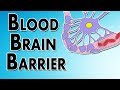 Blood-Brain Barrier