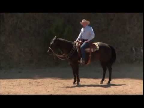 How to Put Energy in the Lazy Horse How to Put Energy in the Lazy Horse