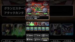 DQMSL ヒミコの道 地獄級 3ラウンド 訂正版