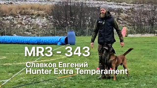 Мондьоринг 3. Славков Евгений & Hunter Extra Temperament 343 балла