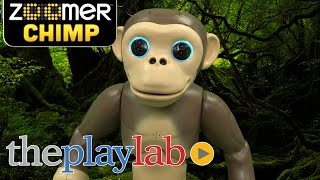 Play Lab | Zoomer Chimp