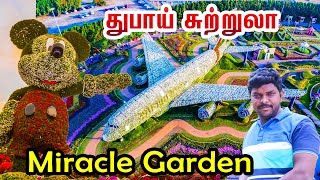 Dubai Miracle Garden I அசத்தலான துபாய் பசுமை பார்க் I Village Data Base