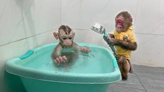 Monkey Kobi helps baby monkey Mon take a bath when he poops his pants