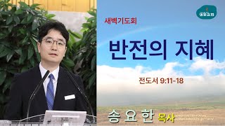 샘물교회/새벽기도회/[새벽기도회]반전의 지혜/전도서 9:11-18/송요한 목사[20241025]