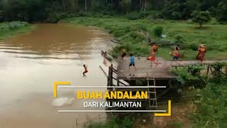 [FULL] Buah Andalan Dari Kalimantan | BOCAH PETUALANG (23/07/20)