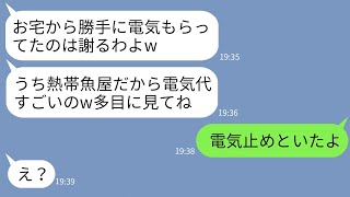 【LINE】急に電気代が毎月5万になった我が家。隣の熱帯魚店経営のママ友が盗んでいたと判明「電気代かかるから助かるw」→頭に来て電気止めたら女の店が大惨事にwww