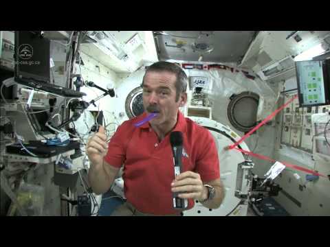 How To Brush Your Teeth In Space | Video How To Brush Your Teeth In Space | Video