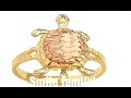 Download #HomeSutra: here's why you should keep tortoise idol at home To Mp4 3Gp Full HD Video 1