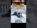 この男性は一晩中雪の中に犬を置き去りにし、その後...