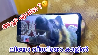 രണ്ട് ദിവസം അച്ഛനെ കാണാതെ ലിയോയും ലെയ്കയും 😕| LeoLaika| chottuz