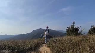 2024年12月12日    欣澳站   大山   犁壁山   大輋峒   榴花峒   老虎頭落愉景灣🚶🚶🚶🚶