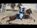 top best horse riders | horse riding skills | horse riding information | tent pegging 2017.