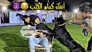 مقلب في ديقو ملك المقالب - خليته يندم يوم لك ويوم عليك 😈🤣