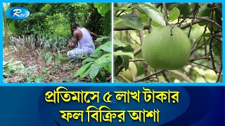 স্কুল শিক্ষকের ১১৯ জাতের ফল বাগান | 119 variety fruit garden | Tangail | Rtv News