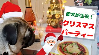 【犬用ピザも！】クリスマスにご馳走食べまくるパグ【Xmas】