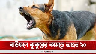 বাউফলে কুকুরের কা'ম'ড়ে আ'হ'ত ২০ || Jago News