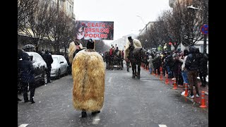 Ceata urșilor din Poduri