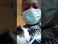 Guinea pig sounds plus face reveal.