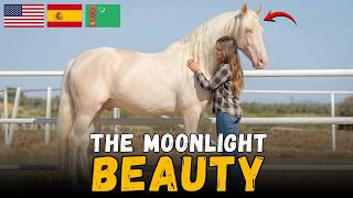 Cremello Horse — The Genetic Secret Behind This “Living Myth”