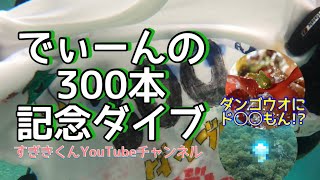 5.5おディーン様の300本記念ダイブin城ヶ島@ケロちゃんにダンゴウオに…ド◯◯もん！？おめでとうの会。