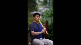 Nhớ Giang Nam - Bản shakuhachi buồn tê tái