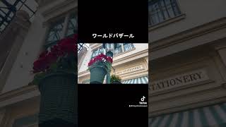 【ディズニーの花と植物】冬〜春/メインエントランス、ワールドバザール