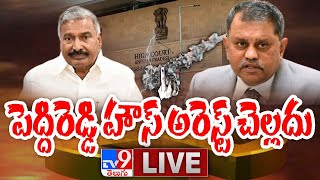 ఏపీ హైకోర్టు కీలక ఆదేశం LIVE Updates || ఏపీ హైకోర్టులో పెద్దిరెడ్డి కి ఊరట.. TV9