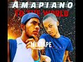 Amapiano to the world |December| DJ mxxnkidd X Mr one week (mixtape)