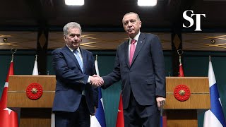 Turkey approves Finland for Nato, Sweden waits