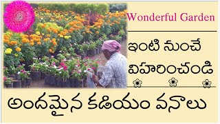 ఇంటినుంచే కనుల విందు|Wonderful Flower Garden|హాయినిచ్చే వనవిహారం..పూల సొగసు|Lockdown Special|