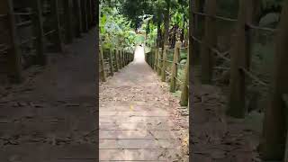 這裡是日本神社遺址，但……我好像拍到了什麼……