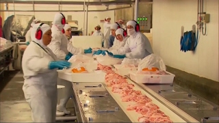 Over 30 Brazilian companies accused of selling tainted meat