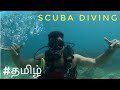 scuba diving in  pigeon Island 🏝 nilveli# trincomalee# sri lanka#tamil vlog