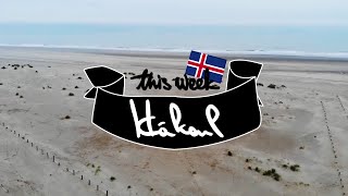 Cooking with Friends: HAKARL/ROTTEN SHARK (@ Dunkirk)