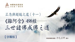 正念與超越之道(十一)《雜阿含》498經──三世諸佛成佛之道【字幕版】__ 淨光法師開示