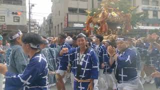 2023.8.13　富岡八幡宮例大祭　深川八幡祭り①　下木場