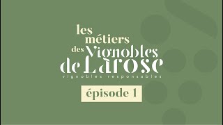 Épisode 1 - Les métiers de Vignobles de Larose - Vigneronnes