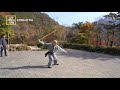 sibpalki biseonmu martial arts of korea