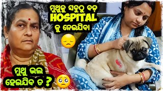 ମୁଥୁକୁ HOSPITAL ନବାକୁ ପଡ଼ିଲା 😢  ସବୁଠୁ ଖରାଫ ଦିନ ଆଜି 😞 / Odia bhaina vlogs / odia vlogs