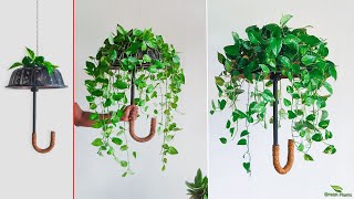 Clever Ways To Hang Your Money Plants In Indoor | Money Plant Hanging Decoration Ideas//GREEN PLANTS