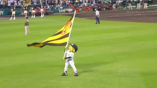 甲子園　阪神勝利後の六甲颪