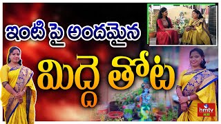 నా మిద్దె తోటలో | Terrace Gardening | Midde Thota || Nelathalli | Agri Info | hmtv Agri