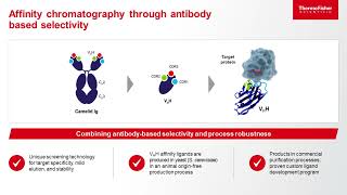 Addressing Purification Challenges for Complex Therapeutics with Custom Chromatography Resins