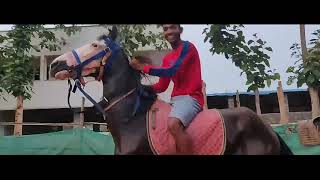 Horse raiding video by naidu