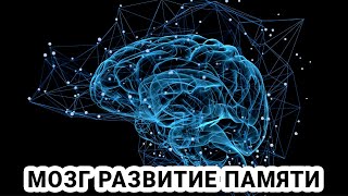 Концепция развития интеллекта пиаже