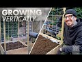 DIY easy and cheap Trellis | Growing Vertically