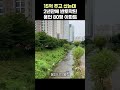 15억에 샀는데 2년만에 반토막된 용인 80평 아파트