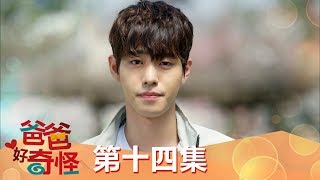 【爸爸好奇怪】EP14: 妳不是我的菜 - 週一至週五 晚間6點 全台首播 東森戲劇40頻道