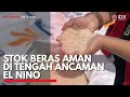 Stok Beras Aman di Tengah Ancaman El Nino | IDX CHANNEL